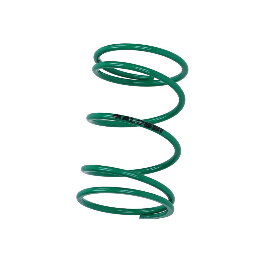 Malossi Drukveer Groen + 60% Piaggio 2T/4T