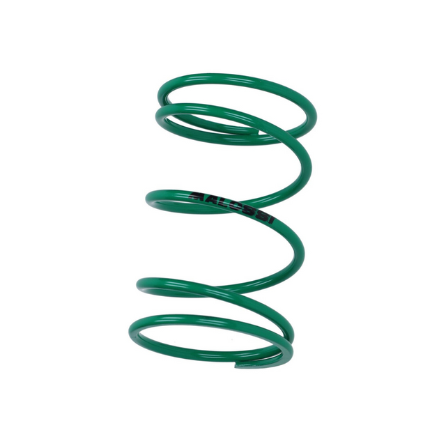 Malossi Drukveer Groen + 60% Piaggio 2T/4T