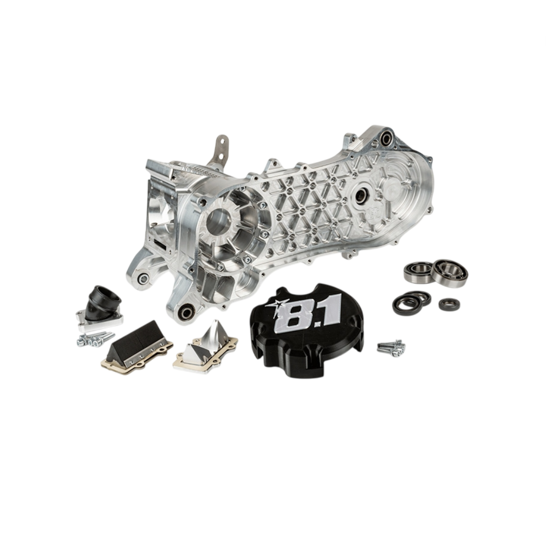 Komplett Long Motor Carter 8.1 Fireblade 100cc 10/12/13 Zoll Wiel Piaggio 2 Strich