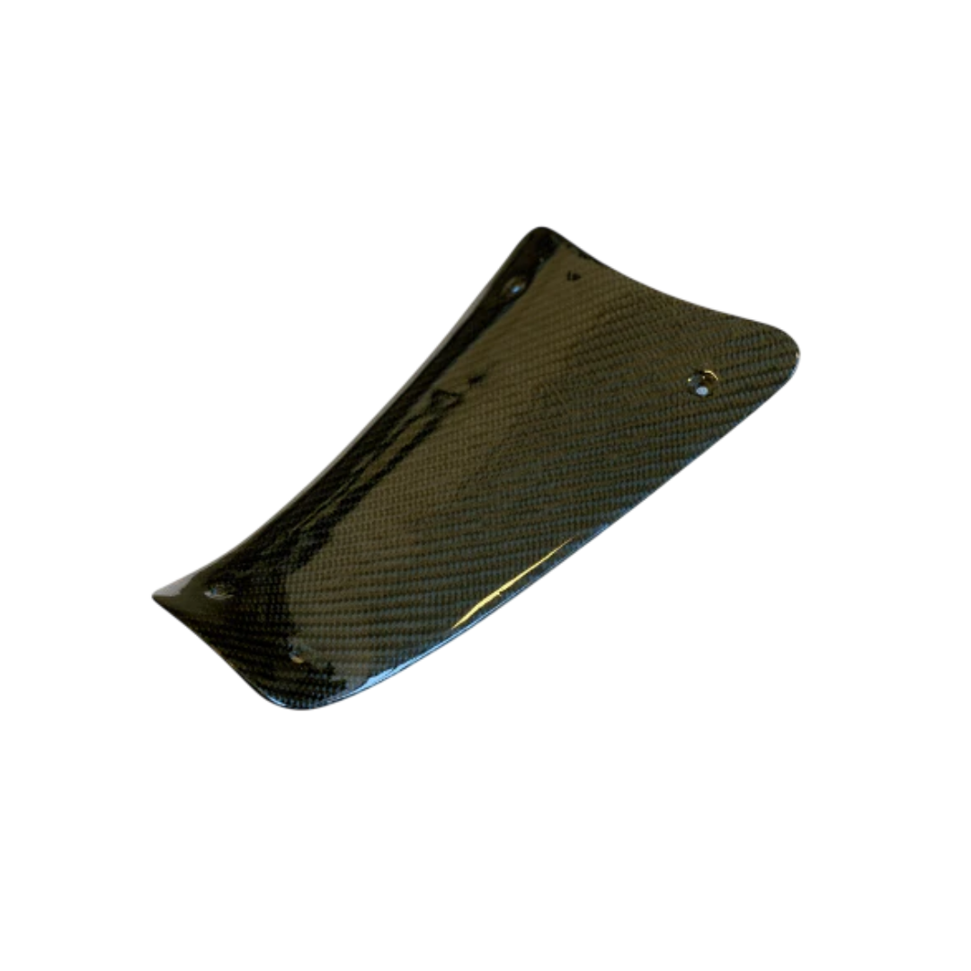 Carbon Accu Deksel Vespa Sprint / Primavera