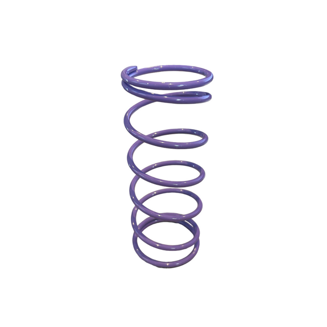 Drukveer Paars 22% Top Performances Piaggio 2 / 4 Takt