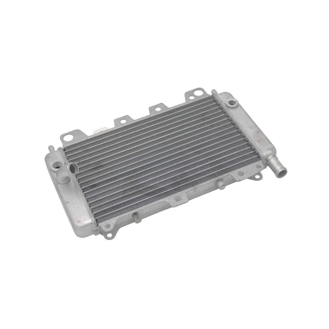 Radiateur Gilera Runner 125-180cc 2 Takt Origineel