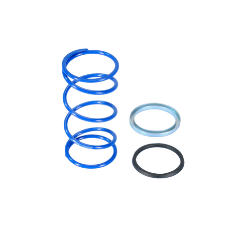 Drukveer + 87% Minarelli Polini Evo Slider 3.8