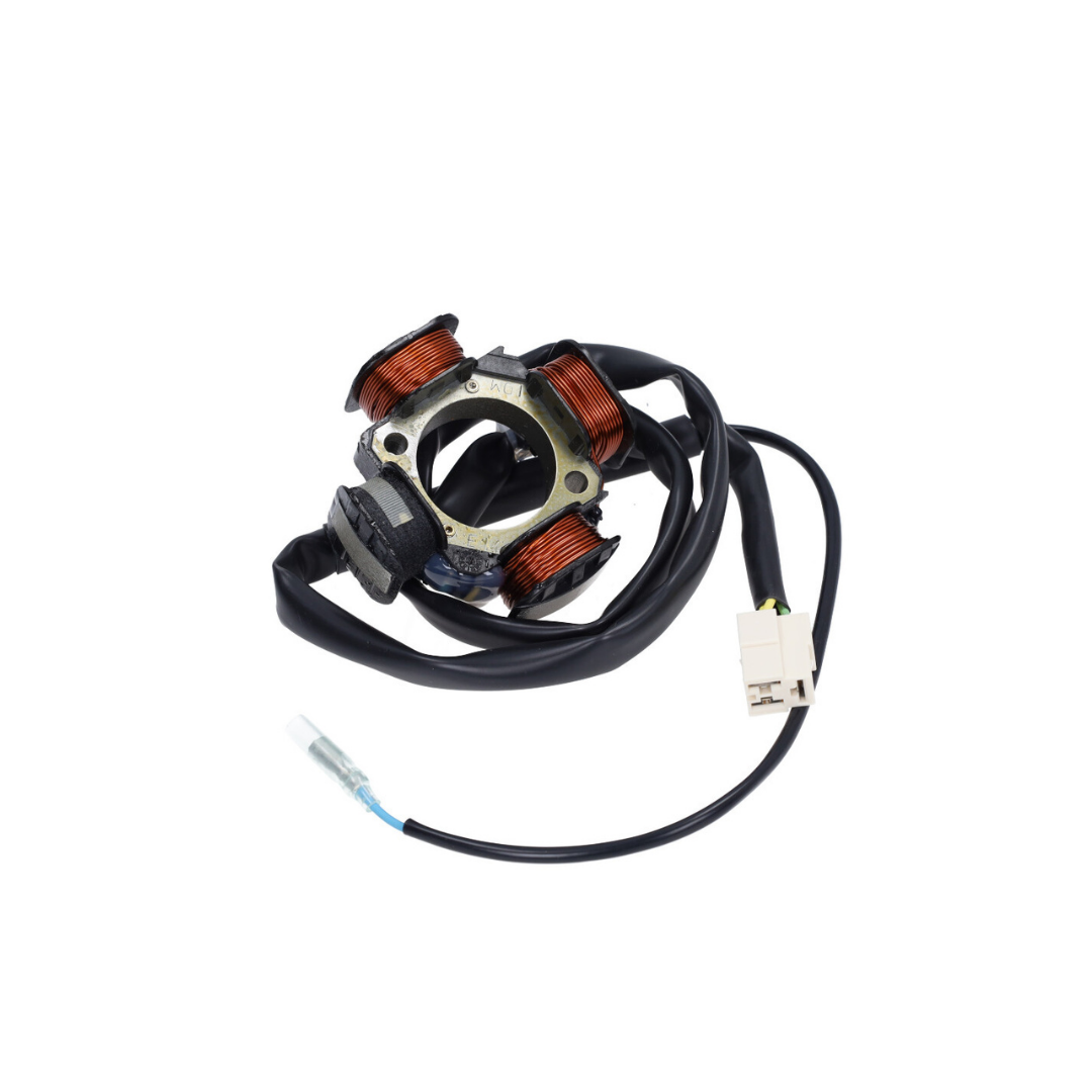 Polini Race Ignition Piaggio / Gilera 125-180cc 2 Stroke Water-Cooled