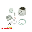 172Cc Malossi Cilinder Met Kop Piaggio 125/180Cc 2T Lc 172