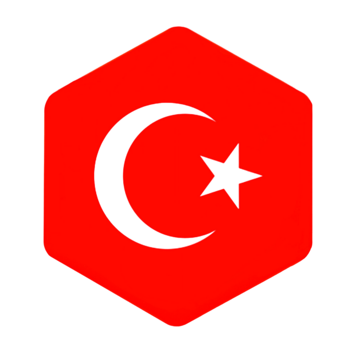 3D-Frontcover-Logo/Aufkleber mit türkischer Flagge und Reißverschluss