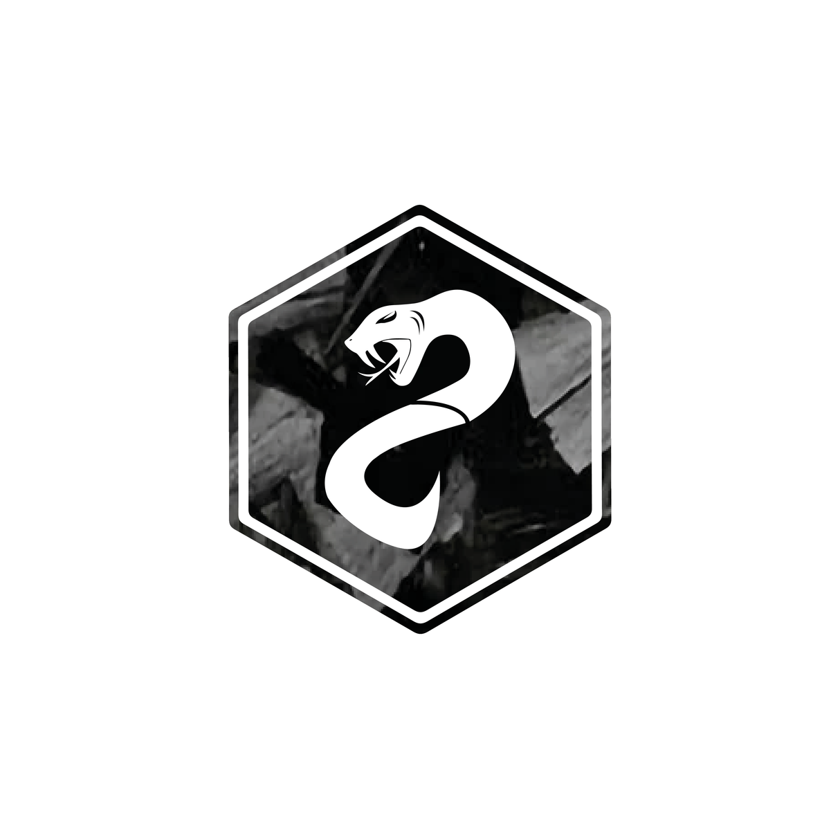 3d Front Chaplogo Fenom Carbon forgé