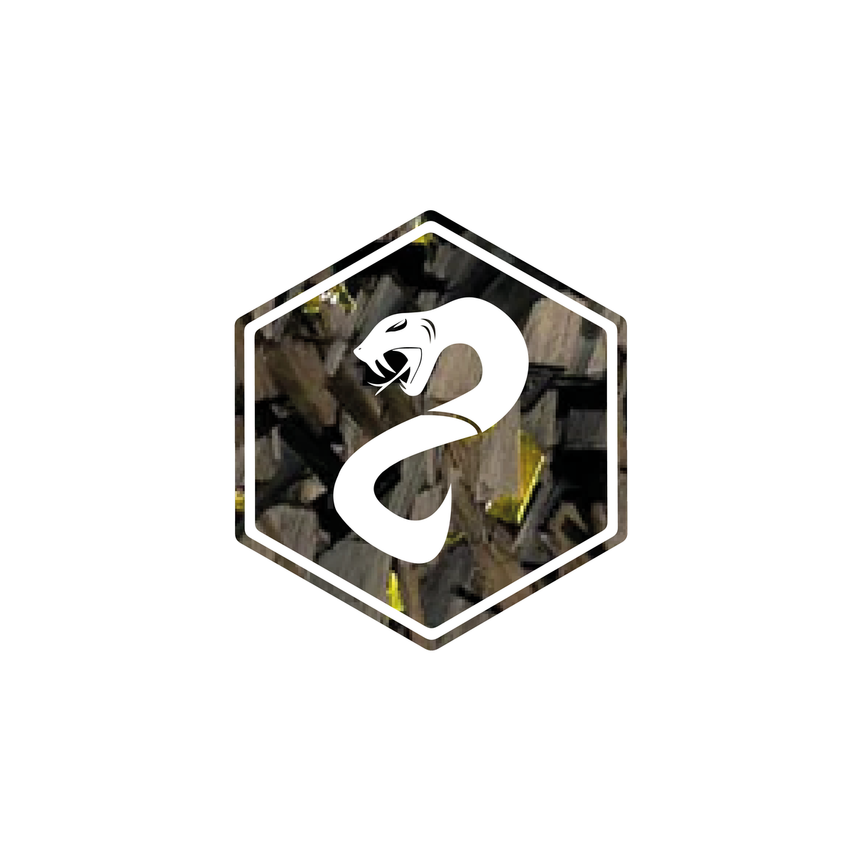 3d Front Chaplogo Fenom Carbon forgé