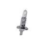 Lamp H1 12V 55W Grootlicht Gilera Runner