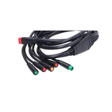 Wiring Harness Complete Old Model V8 Fatbike