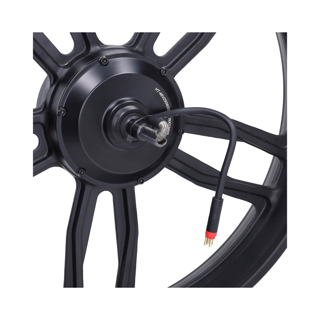 Hinterrad Schwarz + Motor 20 Zoll 48V 250W Roter Stecker V8 / V20 Fatbike