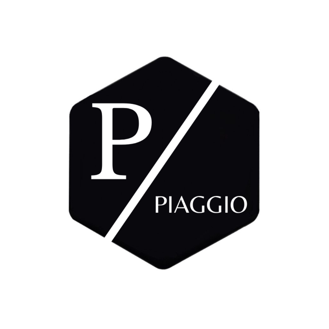 3D Logo P-Piaggio Zip