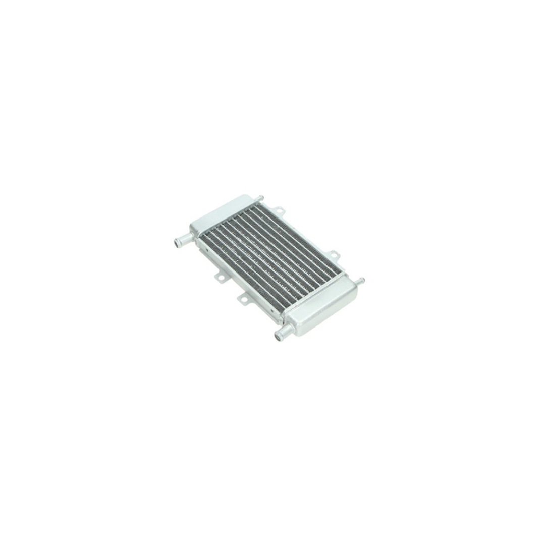 Radiateur Runner/Piaggio Zip SP