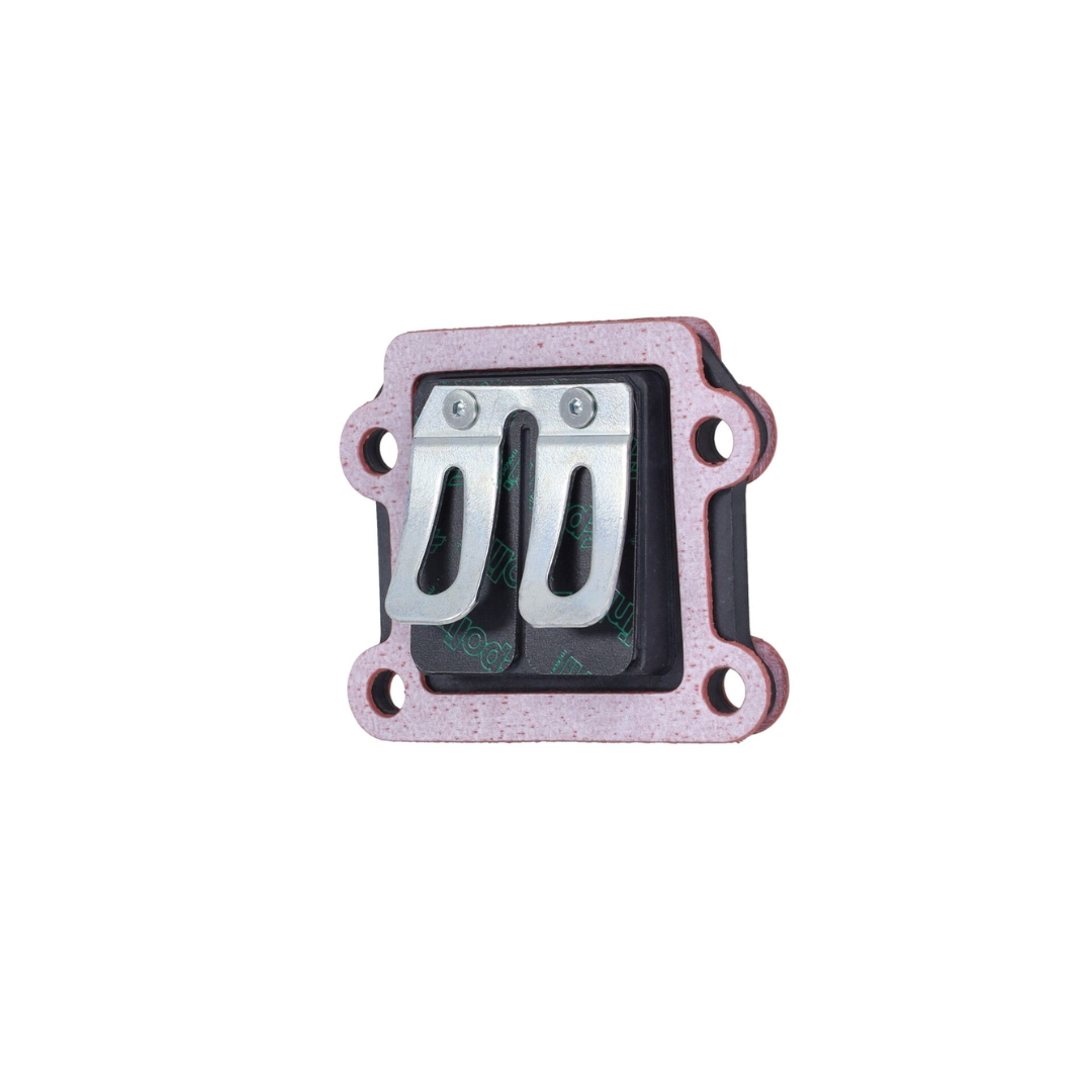 Membrane Polini - MBK Booster / BWS