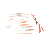 Sticker Set Zip Sp H2O Orange / Gray Original