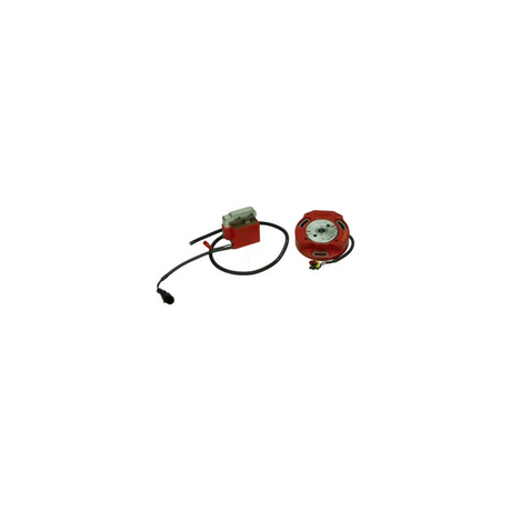 Ontsteking Italkit Electronisch + Binnenrotor Selettra Puch - Condor Monza