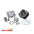 Cilinder 70Cc Malossi Sport Piaggio Ac