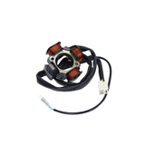 Polini Race Ignition Piaggio / Gilera 125-180cc 2 Stroke Water-Cooled