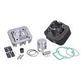 Malossi 50cc Sport Cilinder Piaggio / Gilera 2 Takt AC