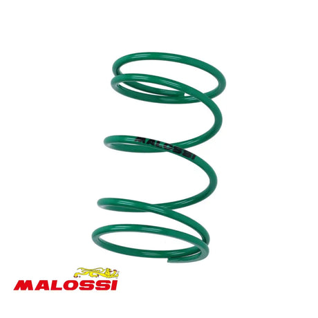 Malossi Drukveer Groen + 60% Piaggio 2T/4T