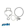 Pakking Topset Polini Evo 47Mm Piaggio Lc Pakking Cilinder